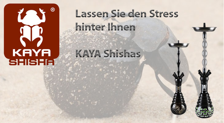 Die leichte Weise, das Buch umsonst Rauchen aufzugeben